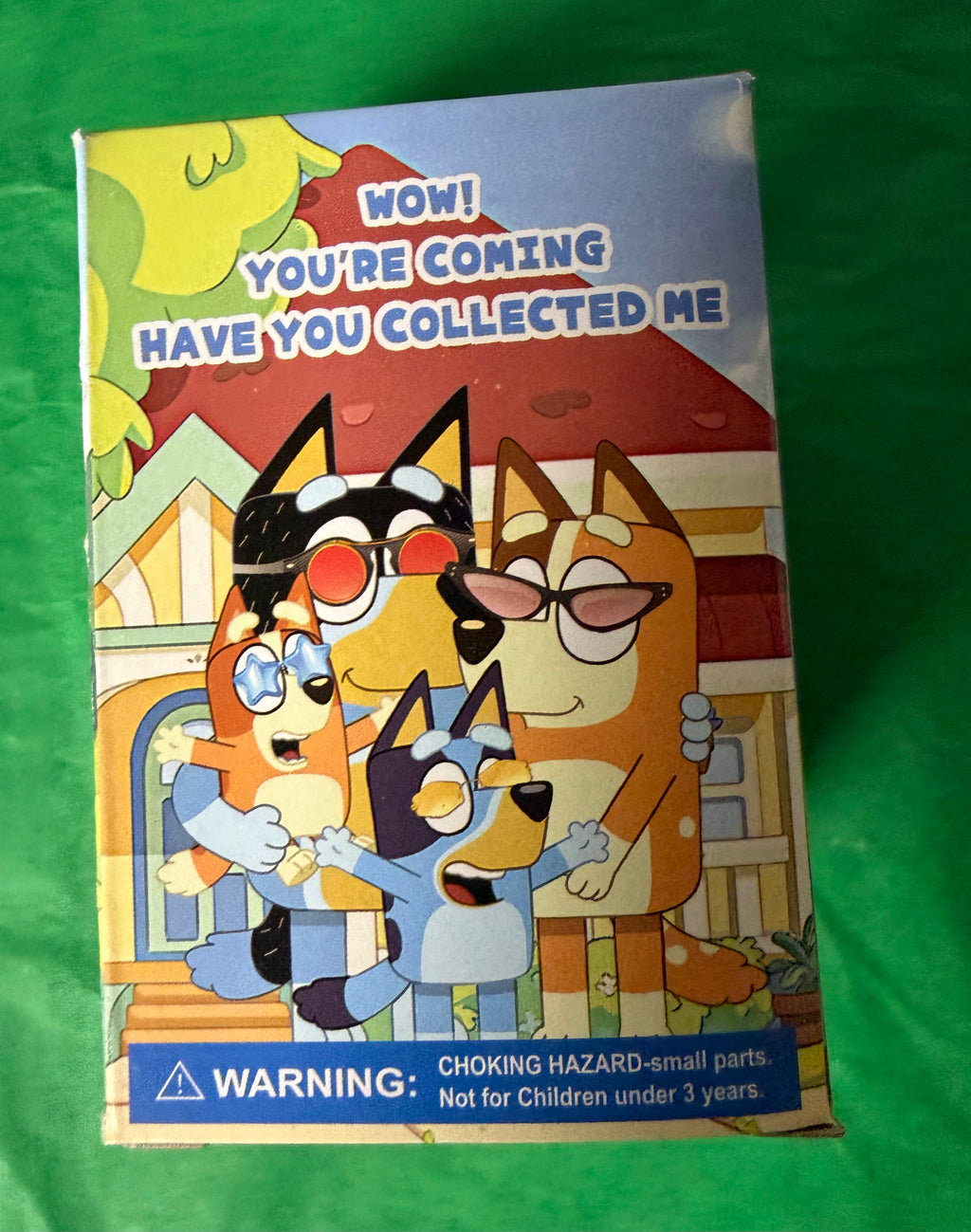 Bluey Mystery Collectible Toy – Surprise Character