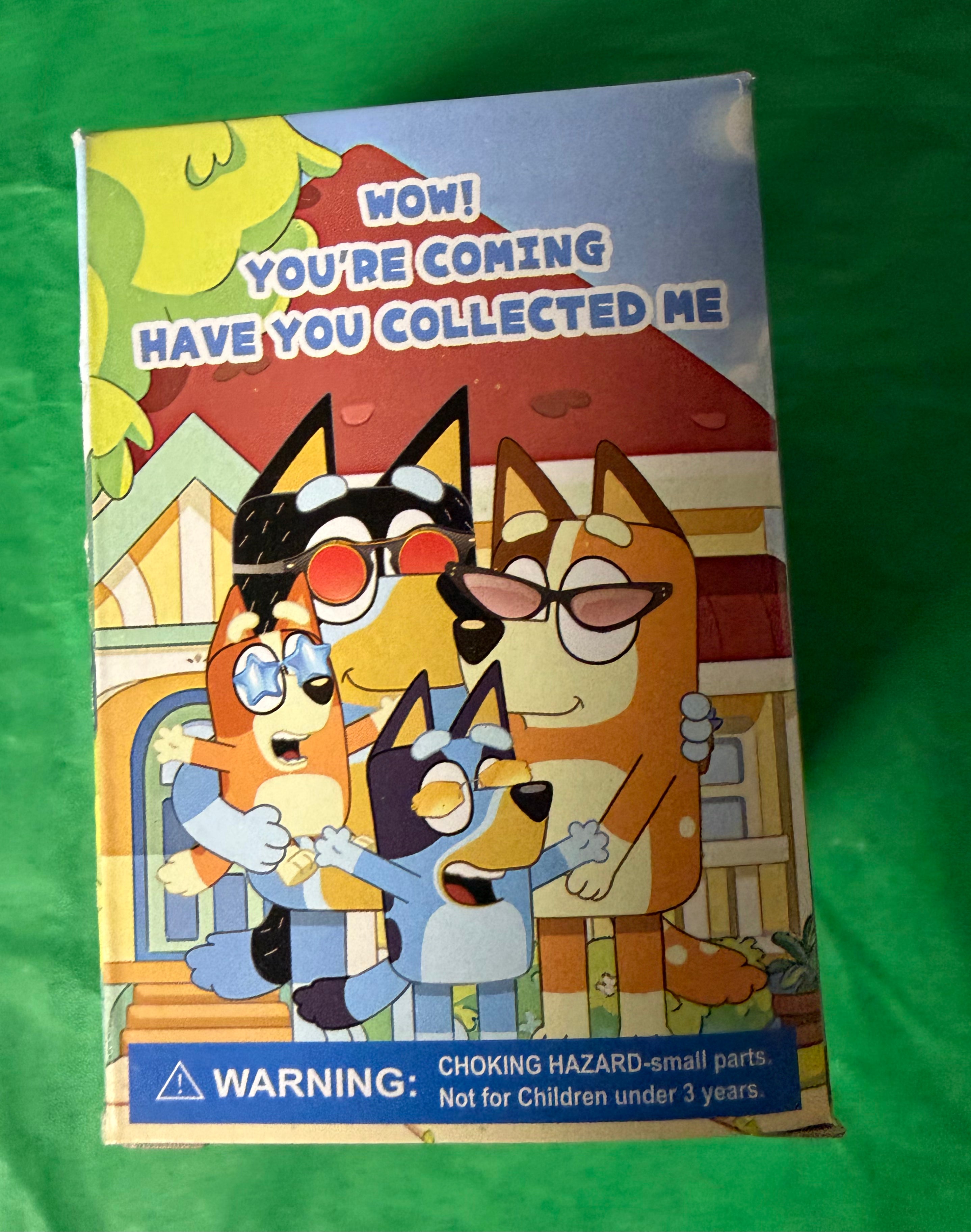 Bluey Mystery Collectible Toy – Surprise Character